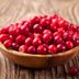 Can Dogs Eat Cranberries? 13 Things to Know